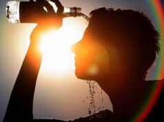 Las alertas por calor y riesgo de incendios se extienden por varios países europeos