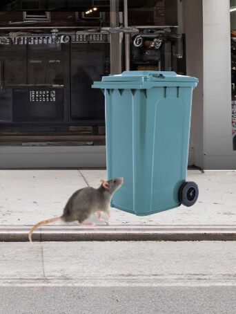 00000 Este viernes en efecto NYC negocios depositar basura en contenedor con tapa segura