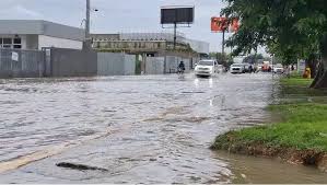 AVENIDAD