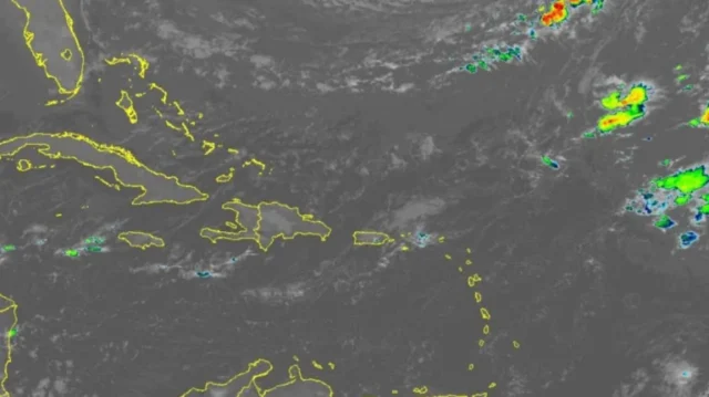 406-indomet-6147-768x431.jpg