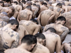 El Salvador condena a 254 pandilleros de la Mara Salvatrucha a penas de hasta 85 años de cárcel