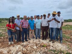 CDP y propietarios de terrenos denuncian invasión de propiedades en Boca Chica
