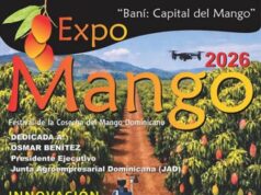 Productores y autoridades rechazan declaraciones diputado Luis Báez sobre supuesta crisis del mango en Peravia