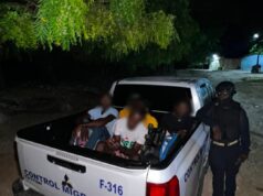 Agentes de la DGM detienen 773 indocumentados el jueves y organismos de seguridad 187