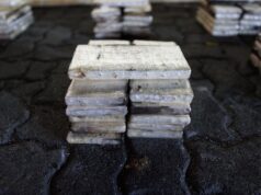 DNCD incauta 303 paquetes de presunta cocaína oculta en piso de contenedor en Puerto Caucedo