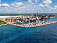DP World en República Dominicana y Fundación Verde Profundo avanzan en la restauración de manglares en Boca Chica con un 86% de supervivencia en su primer año